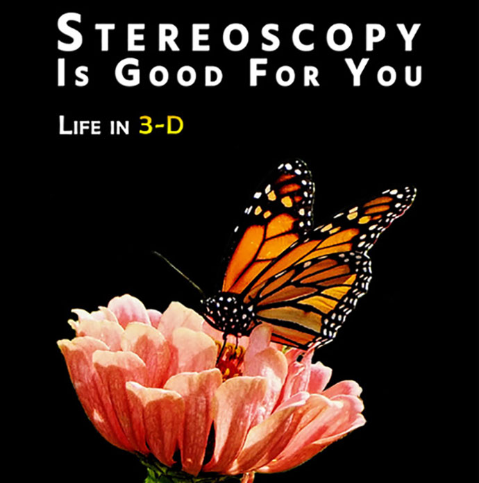 Stereoscopy Is Good For You - crop