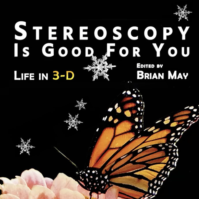 Stereoscopy Is Good For You - Christmas