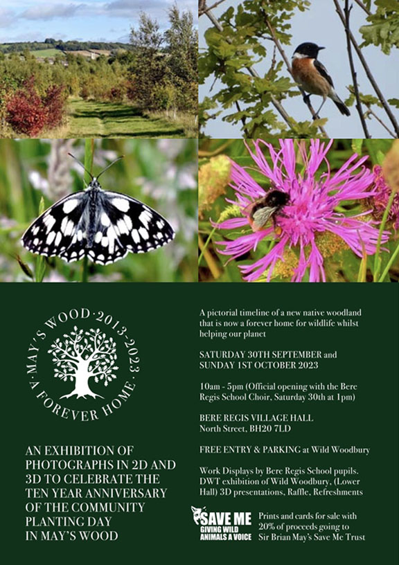 May's Wood 10th Anniversary Exhibition 2023