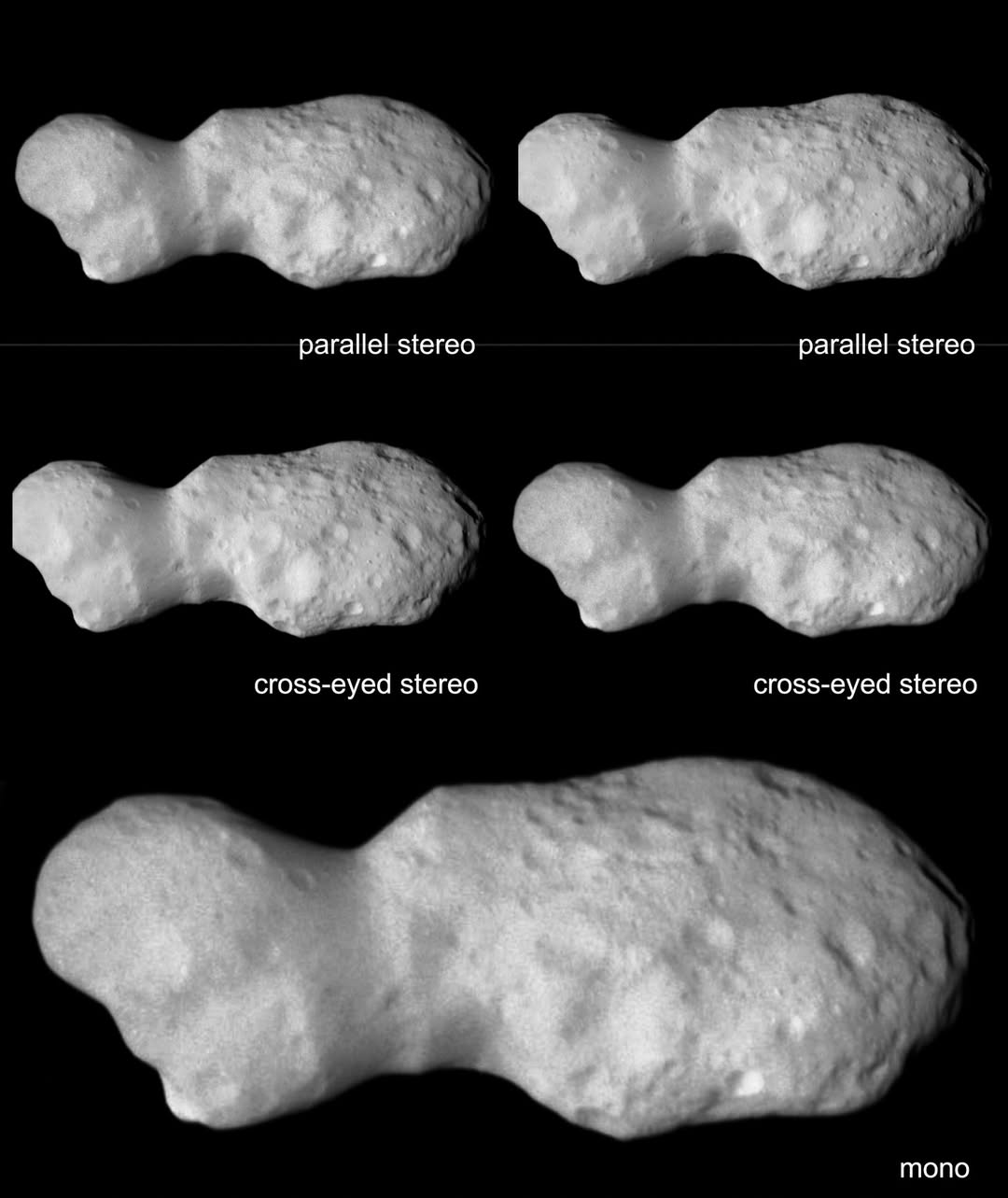 Brian May - Asteroid Donald Johanson