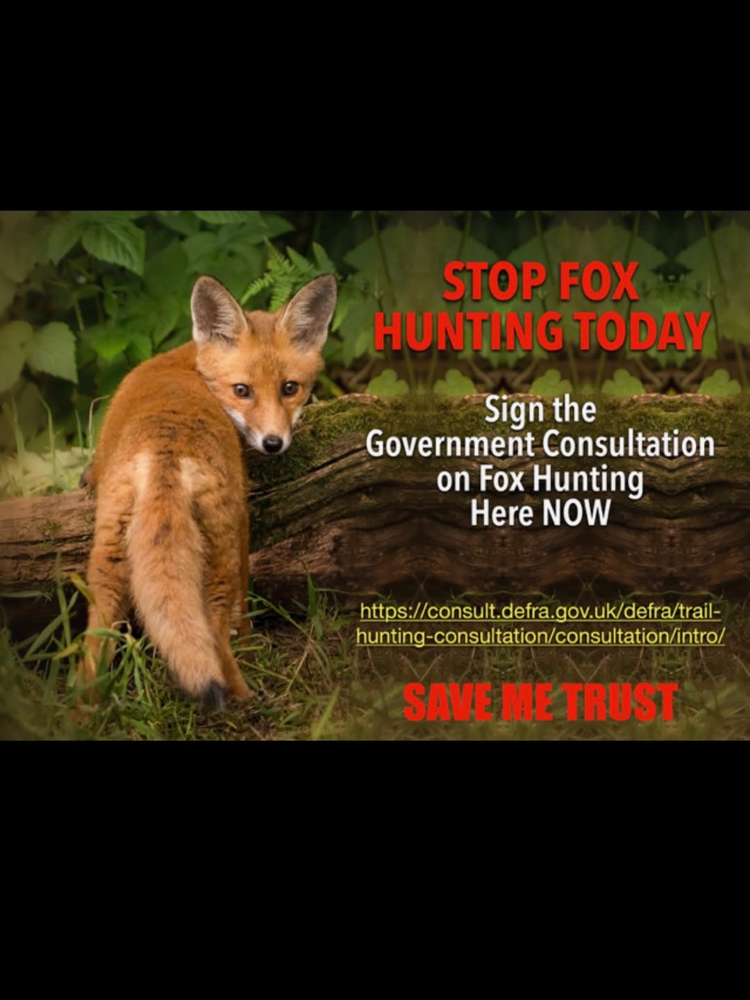 Brian May - ban fox hunting