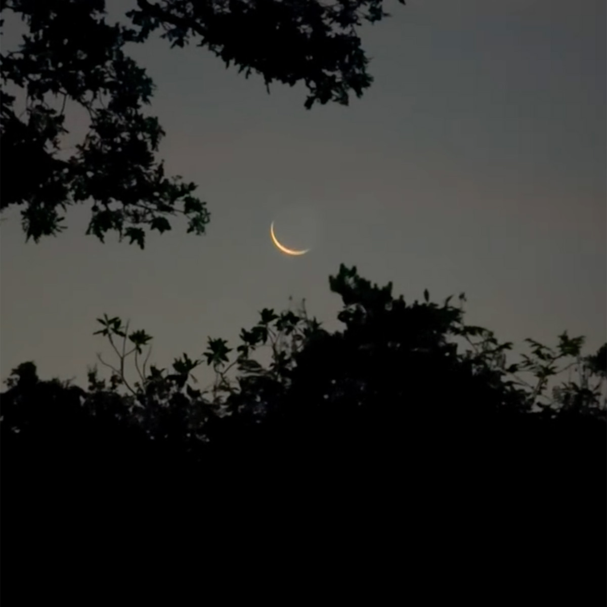 Partial Eclipse of the sun - August 2026