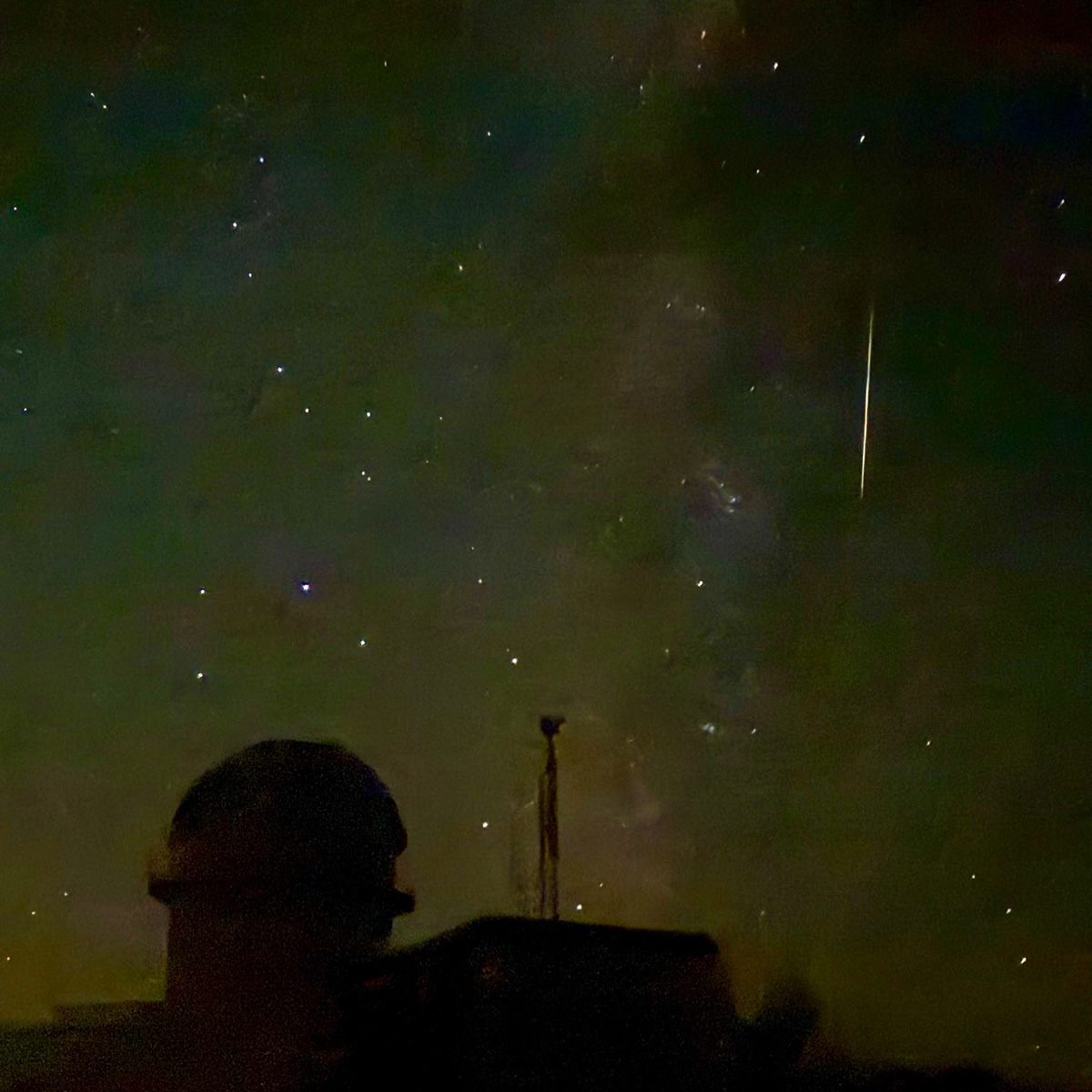 Brian May - Perseid Meteor
