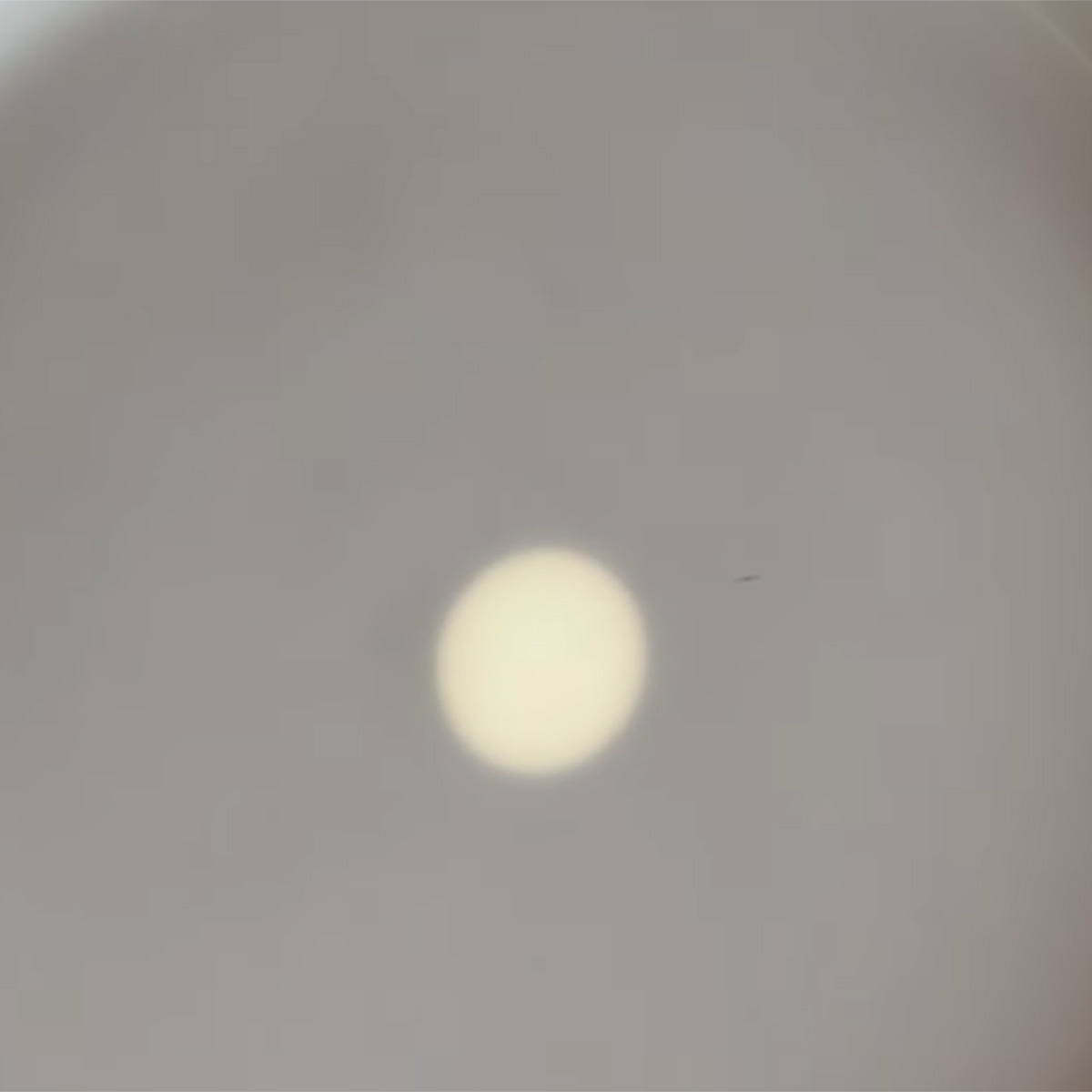 Brian May - the sun on a plate