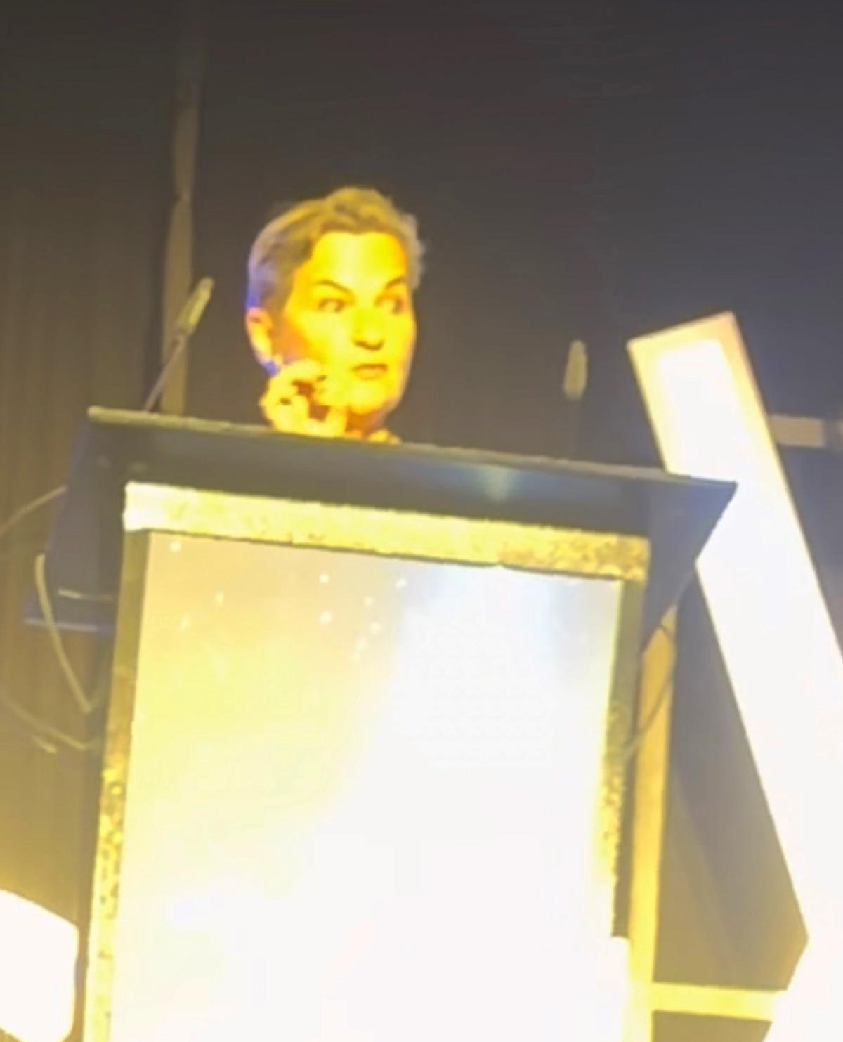 Christiana Figueres - the very first winner of the Jane Goodall Earth medal